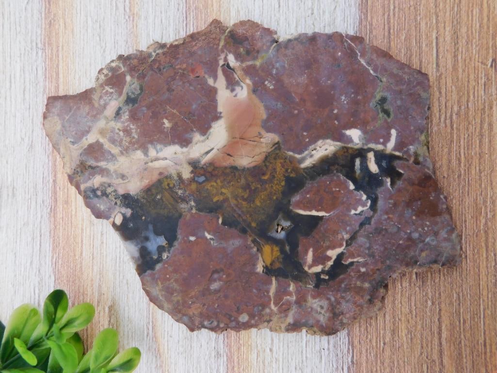 BRECCIATED JASPER SLAB ROCK STONE LAPIDARY SPECIMEN: BRECCIATED JASPER SLAB ROCK STONE LAPIDARY SPECIMEN