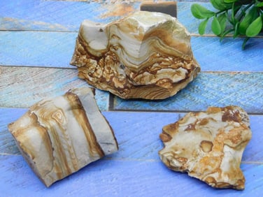 JASPER ROCK STONE LAPIDARY SPECIMEN