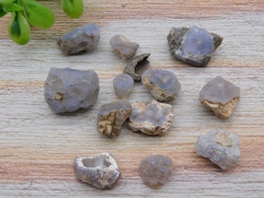 ELLENSBURG AGATE ROCK STONE LAPIDARY SPECIMEN