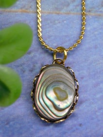 ABALONE PENDANT ON CHAIN NECKLACE ROCK STONE LAPIDARY SPECIMEN