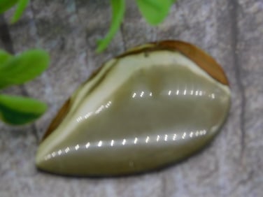 CABOCHON ROCK STONE LAPIDARY SPECIMEN