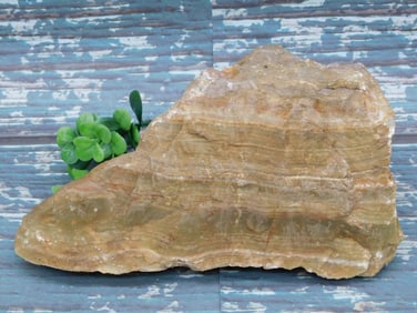 5 POUND ROCK STONE LAPIDARY SPECIMEN