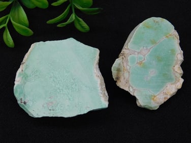 VARISCITE ROCK STONE LAPIDARY SPECIMEN