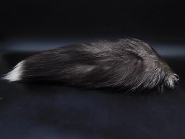 SILVER FOX TAIL TAXIDERMY