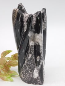 ORTHOCERAS STATUE ROCK STONE LAPIDARY SPECIMEN