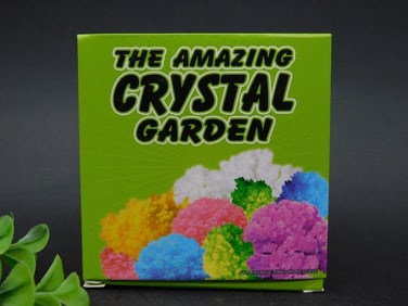 The Amazing Crystal Garden Kit