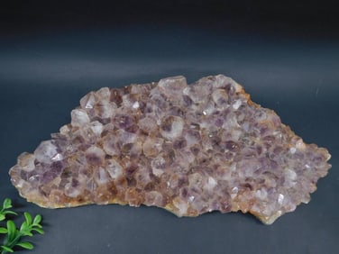 Amethyst Crystal Cluster Specimen ROCK STONE LAPIDARY SPECIMEN