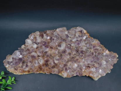 Amethyst Crystal Cluster Specimen ROCK STONE LAPIDARY SPECIMEN: Large amethyst crystal cluster specimen featuring numerous well-formed crystals. Varying hues of purple throughout the cluster with natural gradients. The specimen includes a rugged natural base, suit