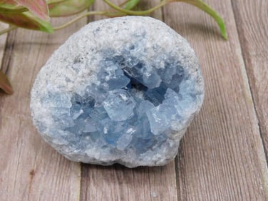 Celestite Geode Cluster With Blue Crystals ROCK STONE LAPIDARY SPECIMEN