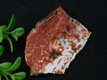 Polished Ocean Jasper Slice