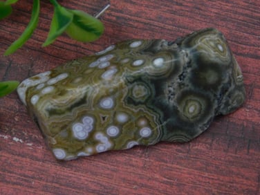 Polished Ocean Jasper Specimen, 24 Grams