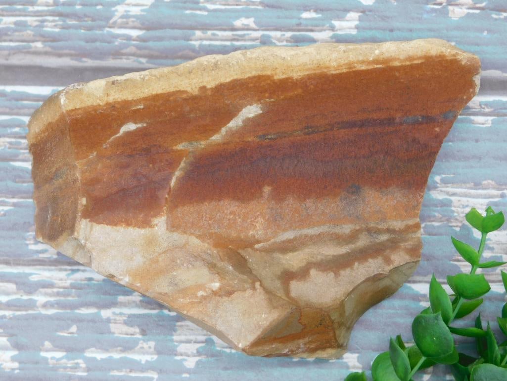 JASPER ROCK STONE LAPIDARY SPECIMEN: JASPER ROCK STONE LAPIDARY SPECIMEN