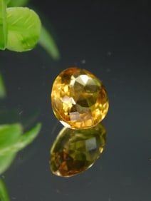 Faceted Oval Yellow Gemstone Rock Stone Lapidary Specimen