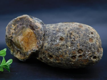 BRAZILIAN AGATE ROCK STONE LAPIDARY SPECIMEN