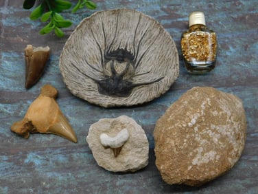 MIXED LOT ROCK STONE LAPIDARY SPECIMEN