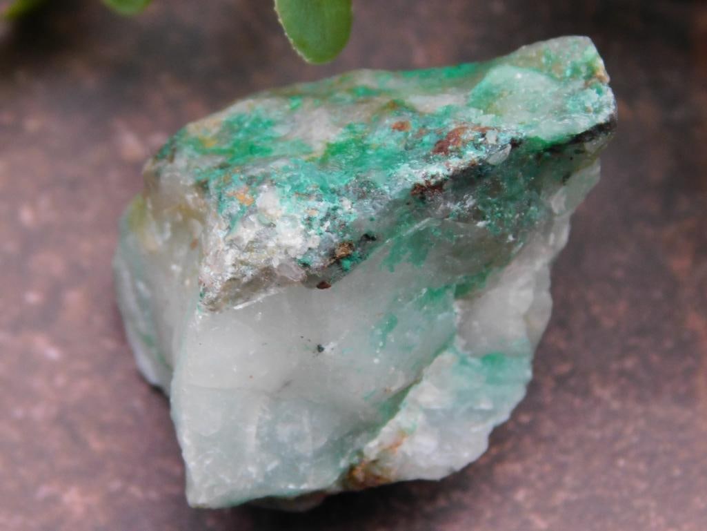 Dioptase Mineral Specimen from South Africa ROCK STONE LAPIDARY SPECIMEN: Natural dioptase mineral specimen sourced from South Africa. | Displays green crystalline formations embedded in a quartz matrix. | Presented in a labeled box for easy identification and storage. | In