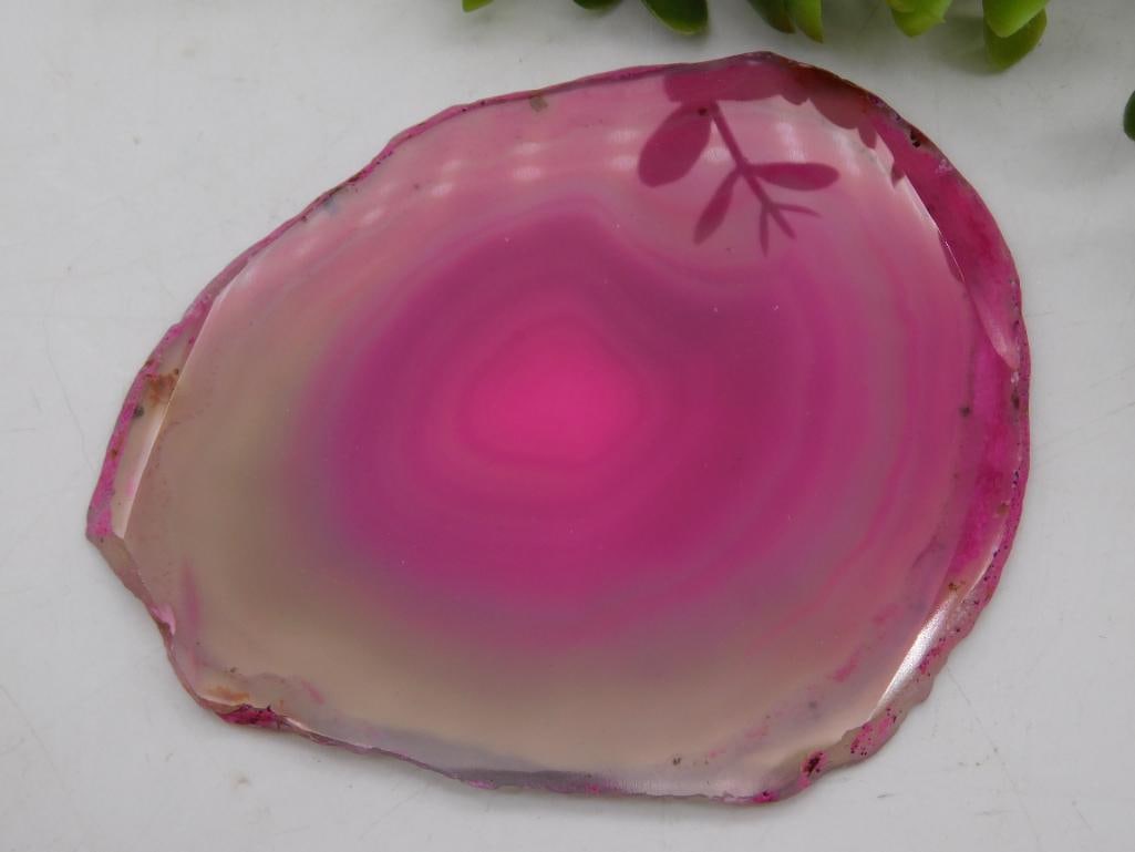 Agate Slice Rock Stone Lapidary Specimen: Agate Slice Rock Stone Lapidary Specimen