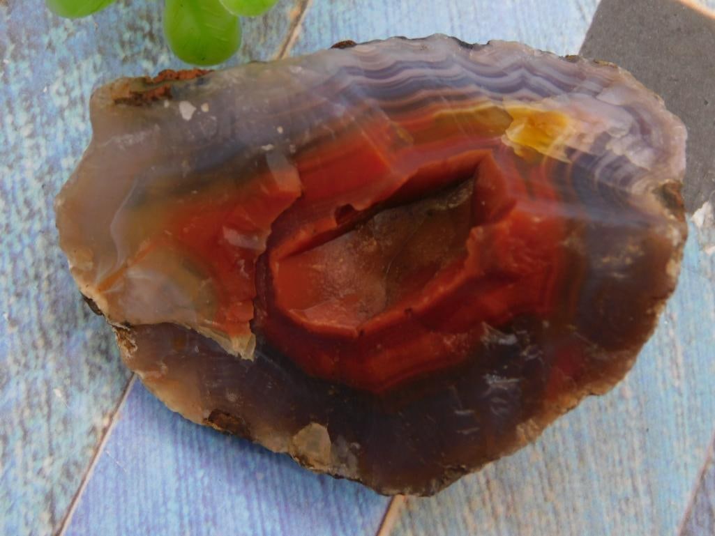 Agate Rock Stone Lapidary Specimen: Agate Rock Stone Lapidary Specimen