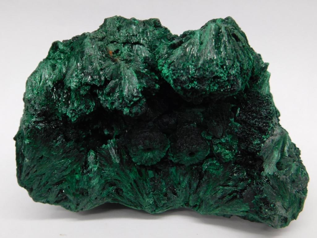 Green Malachite Mineral Specimen Rock Stone Lapidary Specimen: - Mineral specimen made of natural green malachite. | - Distinct fibrous, botryoidal formations with rich green hues. | - Approximate size shown relative to a standard ruler. | - Highly collectible pi