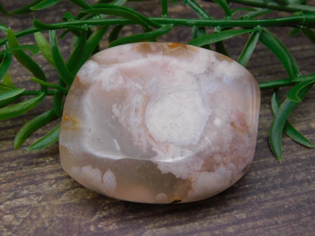 FLOWER PETAL AGATE ROCK STONE LAPIDARY SPECIMEN: FLOWER PETAL AGATE ROCK STONE LAPIDARY SPECIMEN