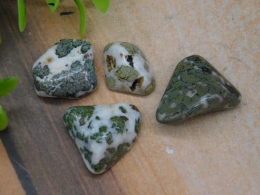 CAMOUFLAGE AGATE ROCK STONE LAPIDARY SPECIMEN