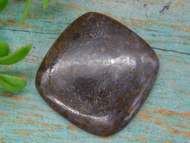 DINOSAUR BONE CABOCHON ROCK STONE LAPIDARY SPECIMEN