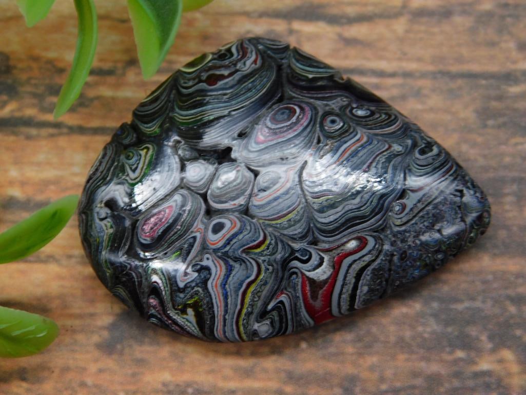 FORDITE MOTOR CITY AGATE ROCK STONE LAPIDARY SPECIMEN: FORDITE MOTOR CITY AGATE ROCK STONE LAPIDARY SPECIMEN