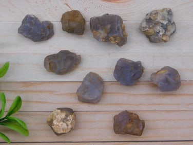 ELLENSBURG AGATE ROCK STONE LAPIDARY SPECIMEN