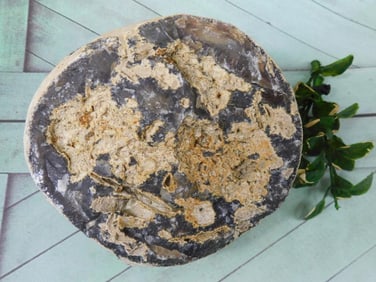 BRAZILIAN AGATE ROCK STONE LAPIDARY SPECIMEN