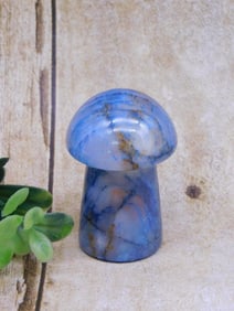 STONE MUSHROOM ROCK STONE LAPIDARY SPECIMEN