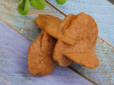 DESERT ROSE ROCK STONE LAPIDARY SPECIMEN