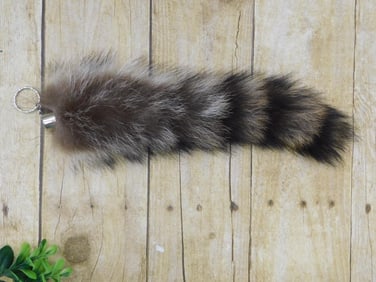 RACCOON TAIL TAXIDERMY