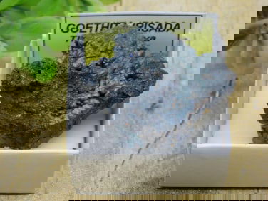 GOETHITA IRISADA ROCK STONE LAPIDARY SPECIMEN