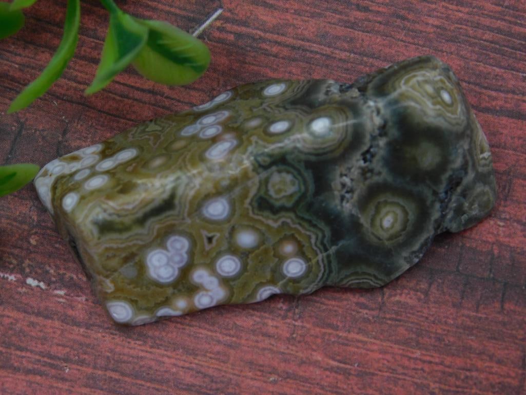 Polished Ocean Jasper Specimen, 24 Grams: Polished Ocean Jasper Specimen, 24 Grams