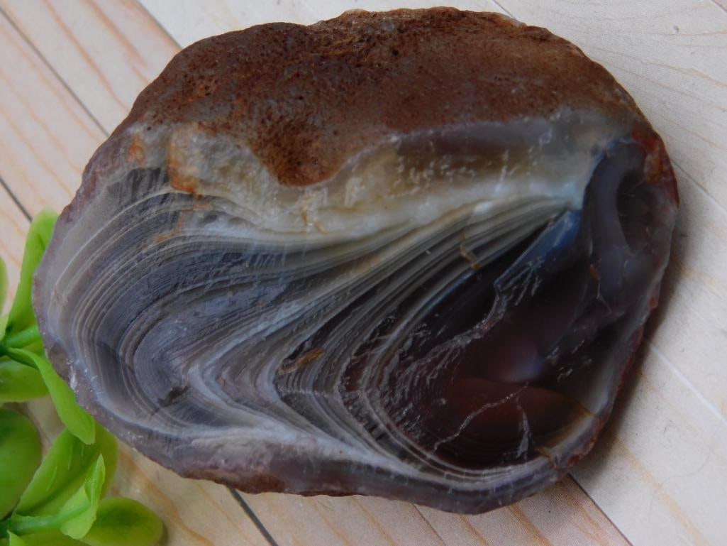 Botswana Agate ROCK STONE LAPIDARY SPECIMEN: Botswana Agate ROCK STONE LAPIDARY SPECIMEN