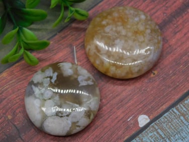 FLOWER PETAL AGATE ROCK STONE LAPIDARY SPECIMEN