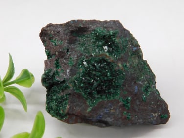 BROCHANTITE Rock Mineral Specimen with Crystals  125 Grams