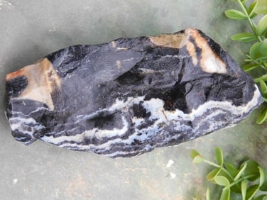 ZEBRA ROCK ROCK STONE LAPIDARY SPECIMEN