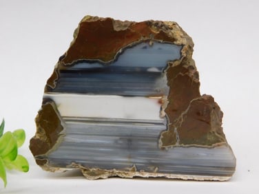 Water Level Banded Agate Slice Rock Stone Lapidary Specimen