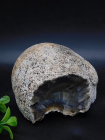 Agate Rock Stone Lapidary Specimen