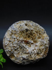 Unpolished Agate Specimen Weighing 1 lb 9 oz Rock Stone Lapidary Specimen