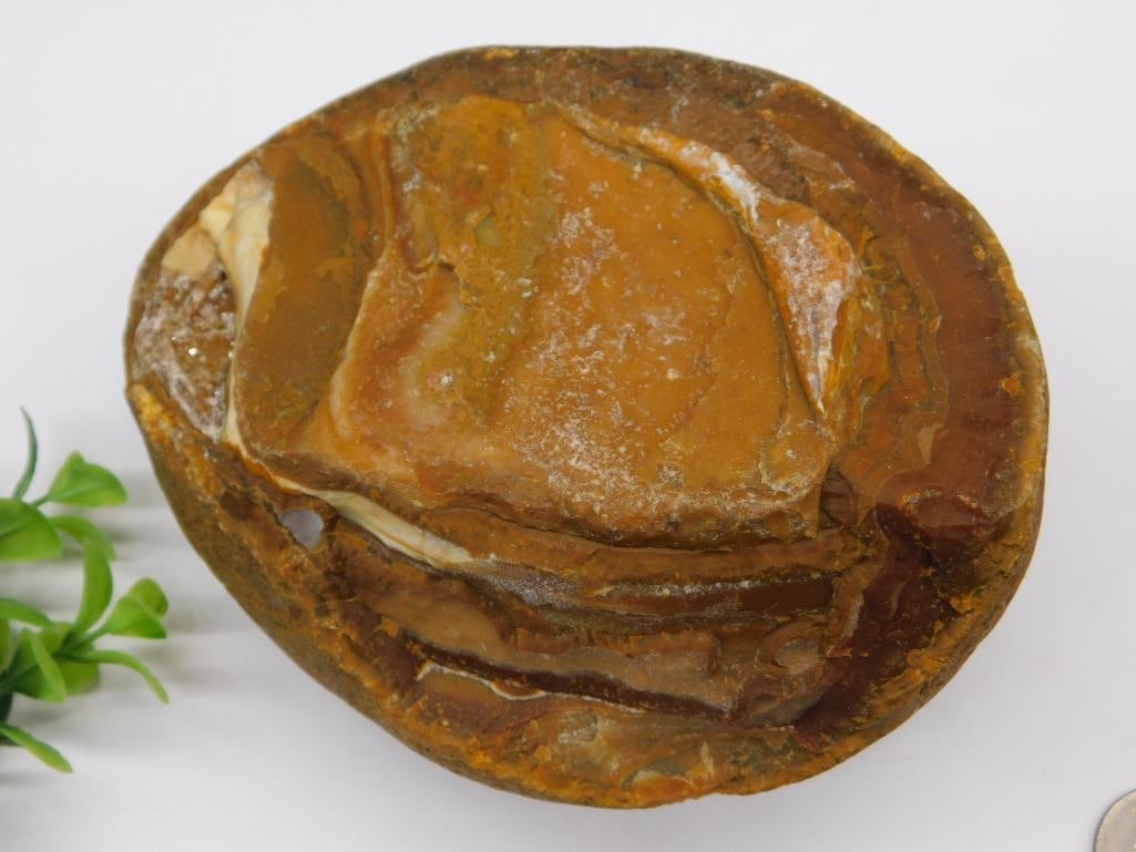 Brazilian Agate Rock Stone Lapidary Specimen: Brazilian Agate Rock Stone Lapidary Specimen