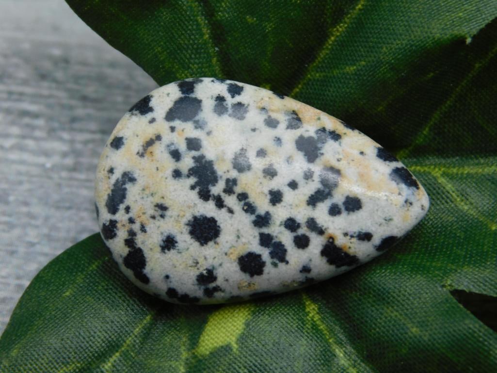 DALMATION JASPER CABOCHON ROCK STONE LAPIDARY SPECIMEN: DALMATION JASPER CABOCHON ROCK STONE LAPIDARY SPECIMEN