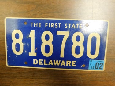 Vintage Antique License Plate US Delaware Collectible 245