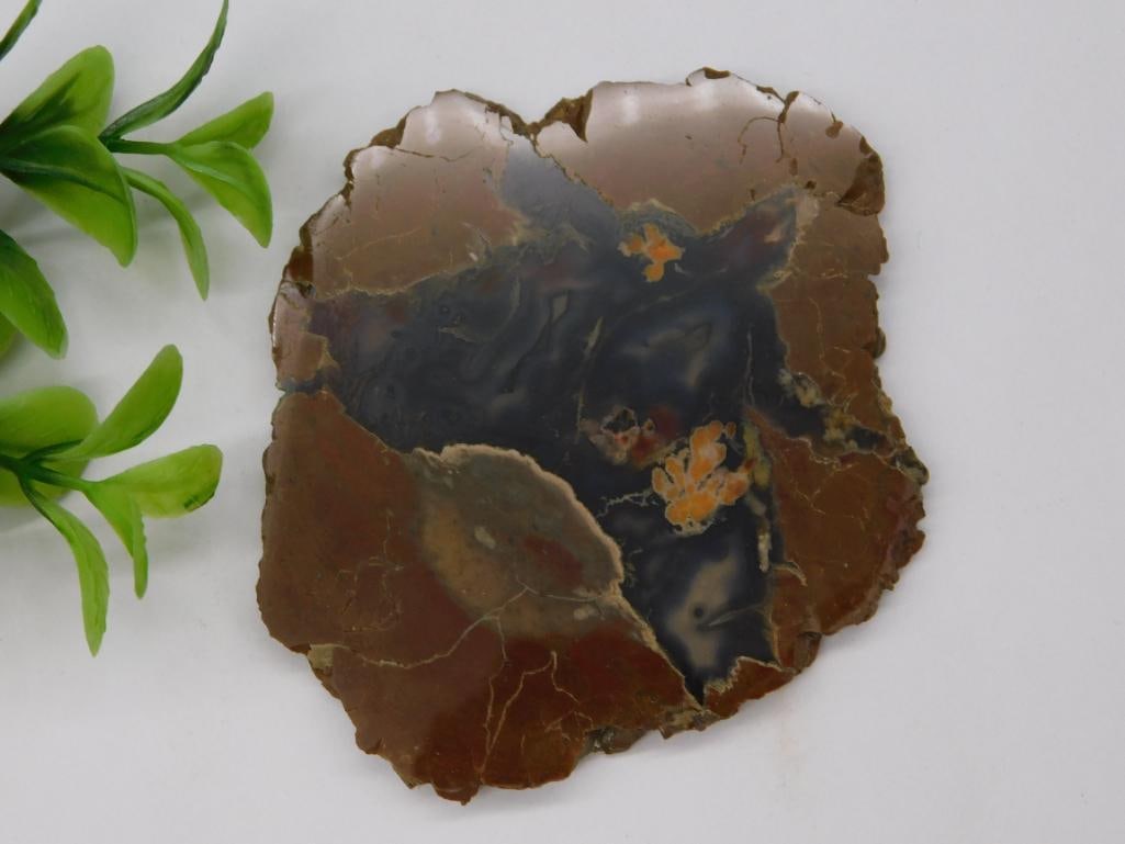 THUNDER EGG GEODE ROCK STONE LAPIDARY SPECIMEN: THUNDER EGG GEODE ROCK STONE LAPIDARY SPECIMEN