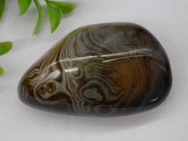 Sardonyx Rock Stone Lapidary Specimen