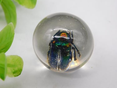 Encased Metallic Green Beetle in Resin Sphere