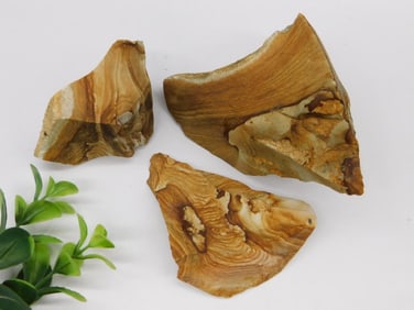 Jasper Rock Stone Lapidary Specimen