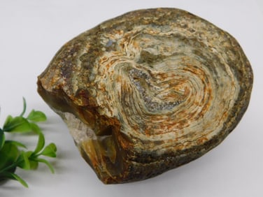 Brazilian Agate Rock Stone Lapidary Specimen