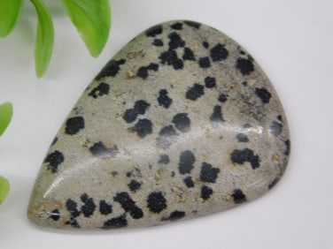 Dalmatian Jasper  Cabochon